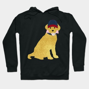 Preppy Dog Golden Retriever - Let's Play Ball Hoodie